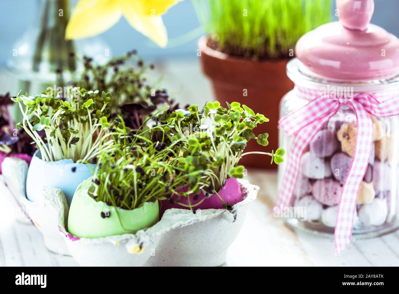 Healthy eating, sprouts in easter egg shells. Stock Photo