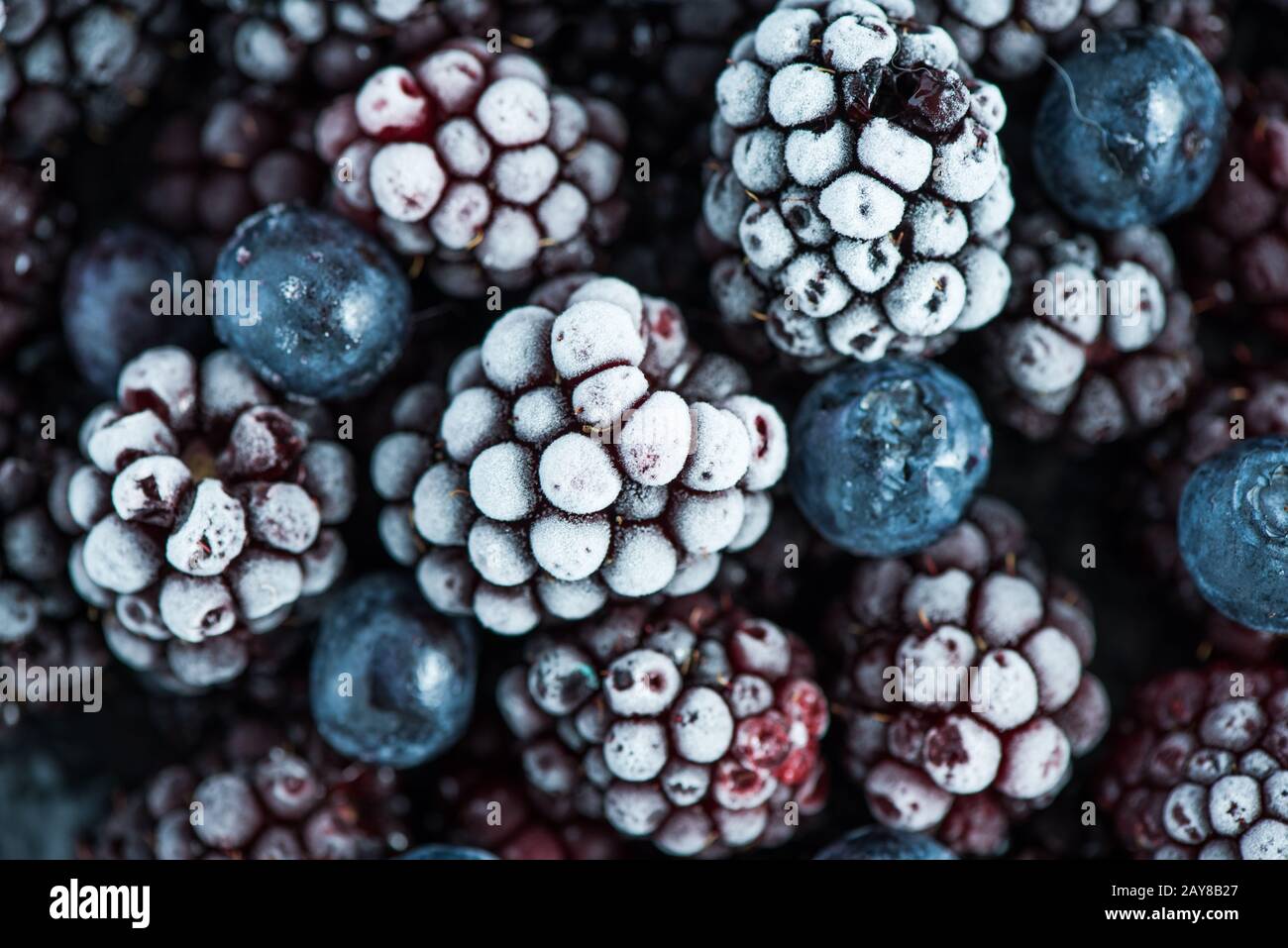 close view on frozen Blackberry fruits Stock Photo