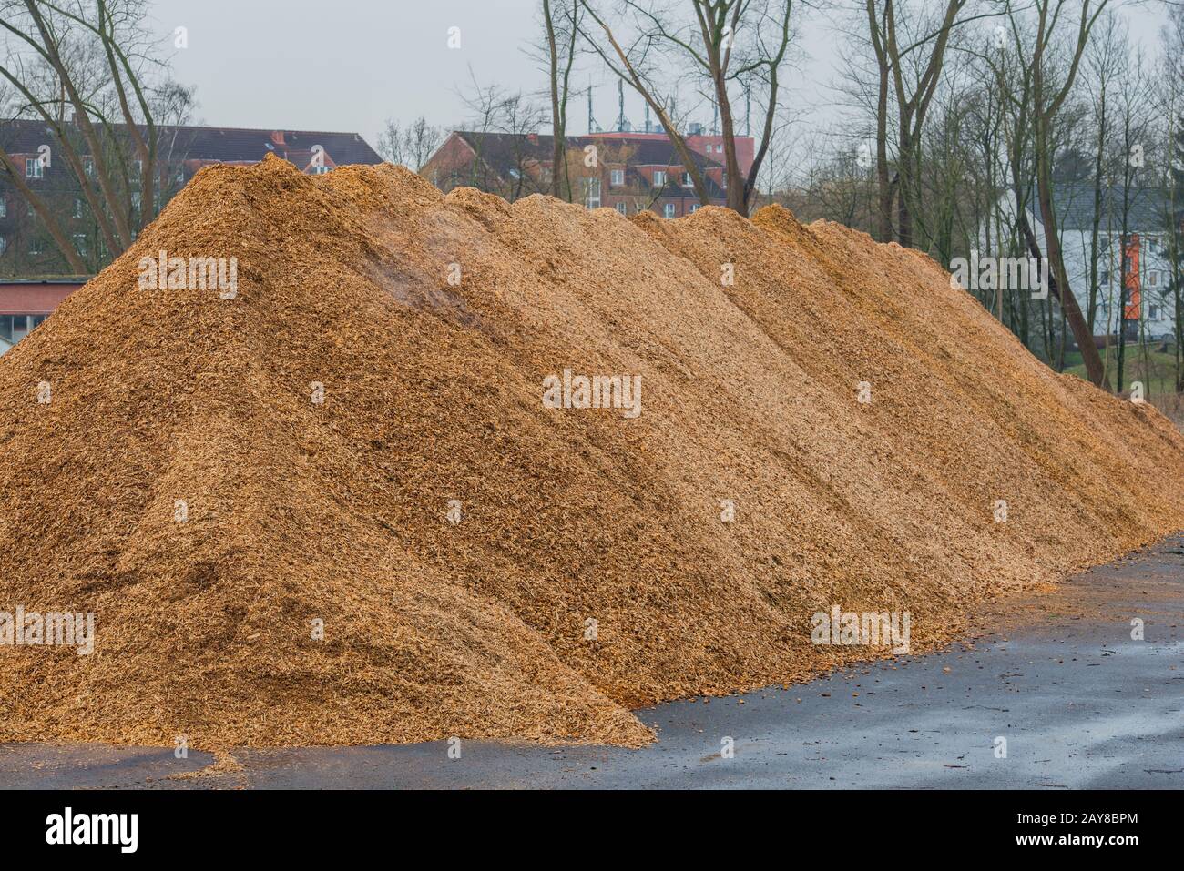 Big pile of wood shavings and wood mulch Stock Photo