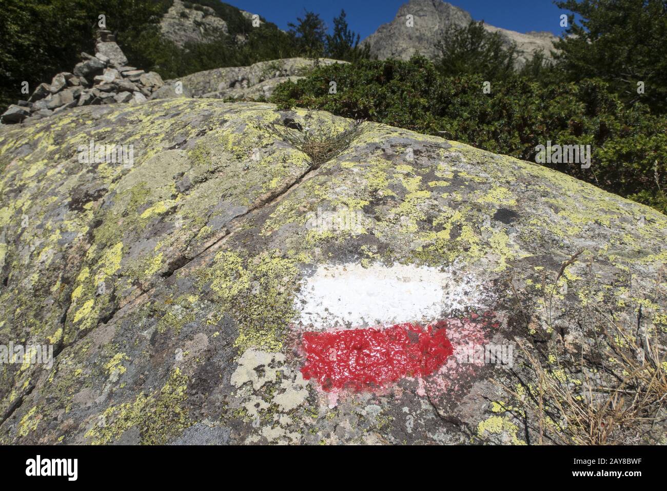 White Rocks Marking Red white path marking on a tree hi-res stock photography and images ...