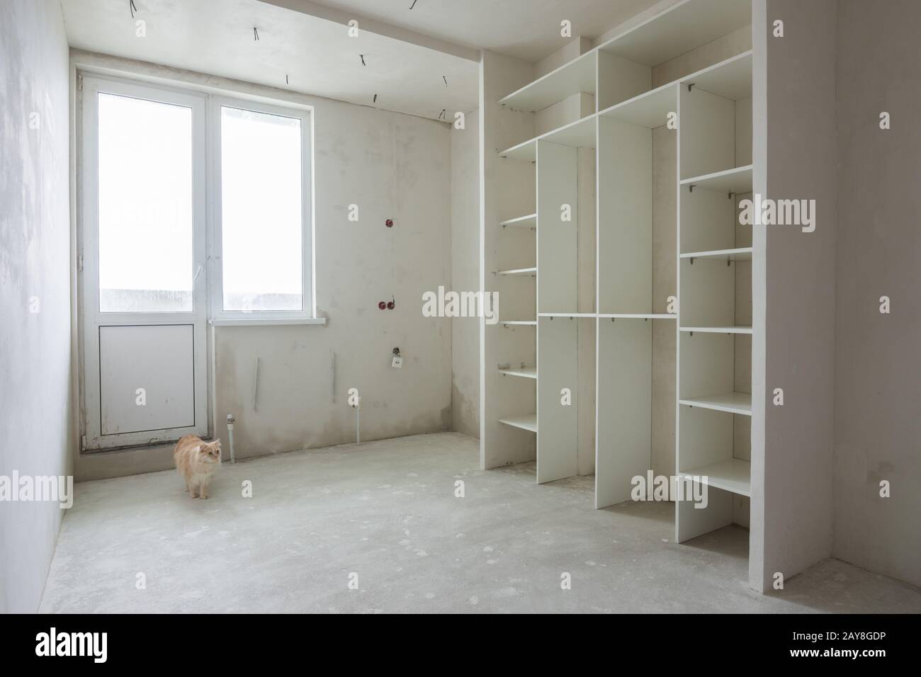 A cat walks through an empty room in a new building Stock Photo