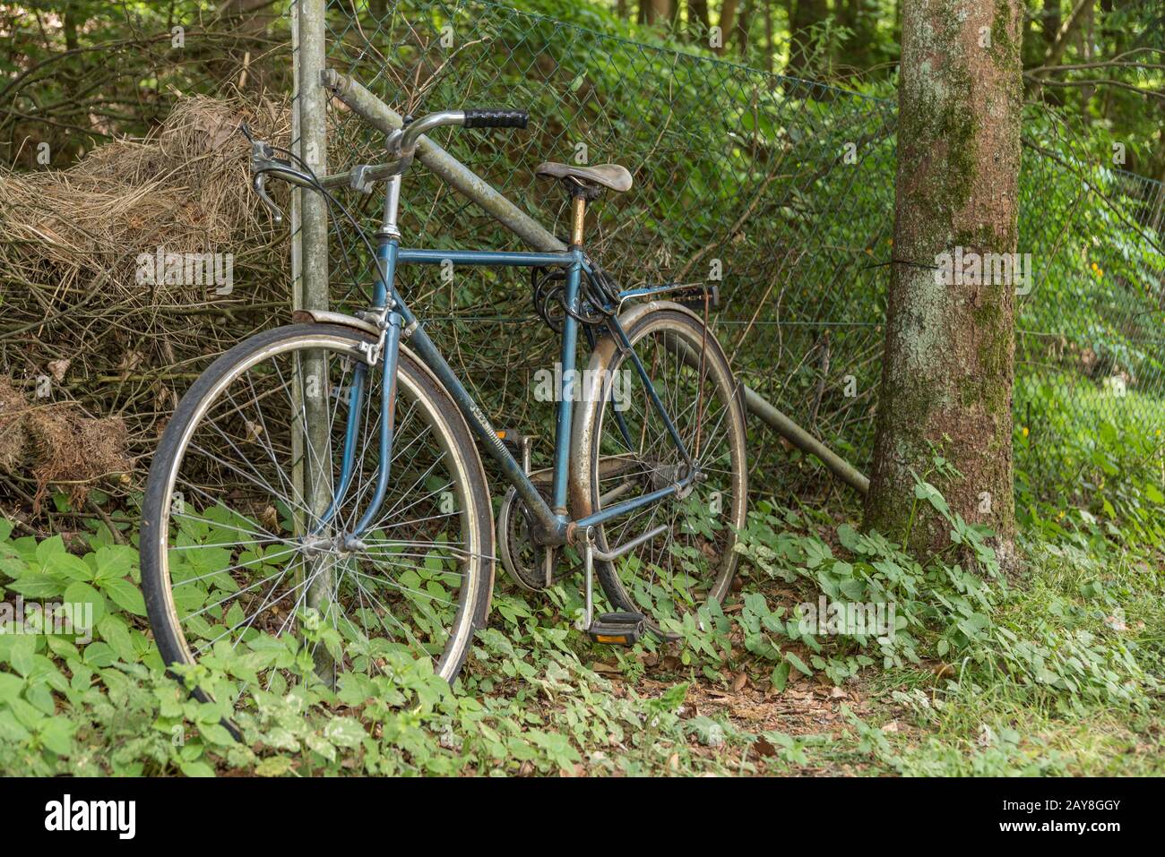 old bicycle locked at a fence in the forest Stock Photo