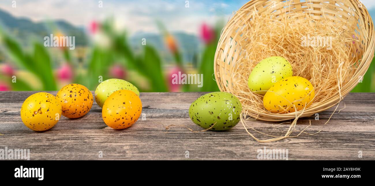 easter eggs on a table with basket and tulips blurry background Stock Photo