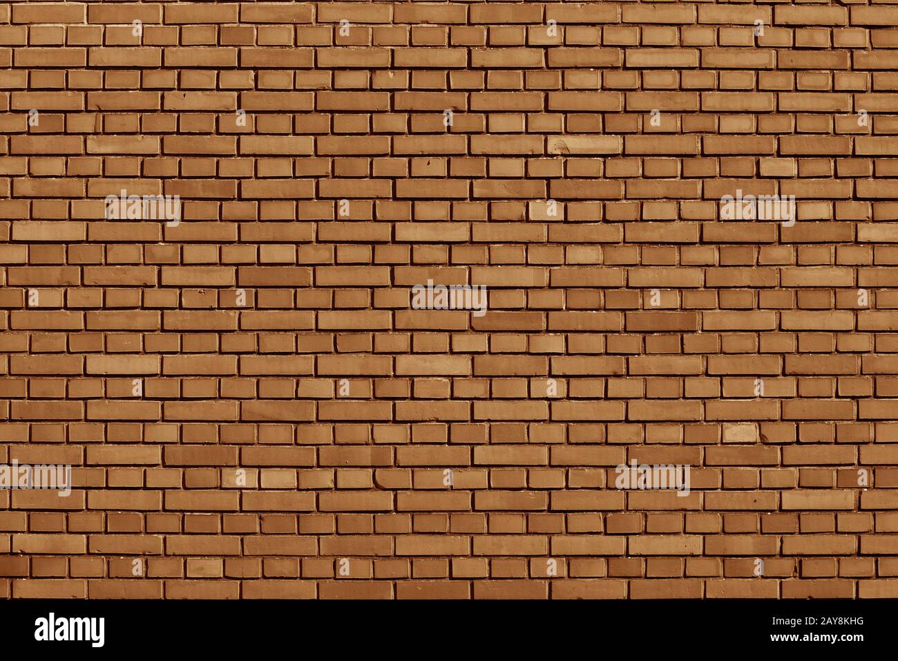 Meerkat colored brick wall background Stock Photo