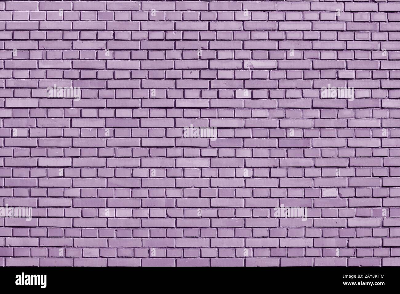 Crocus Petal colored brick wall background Stock Photo
