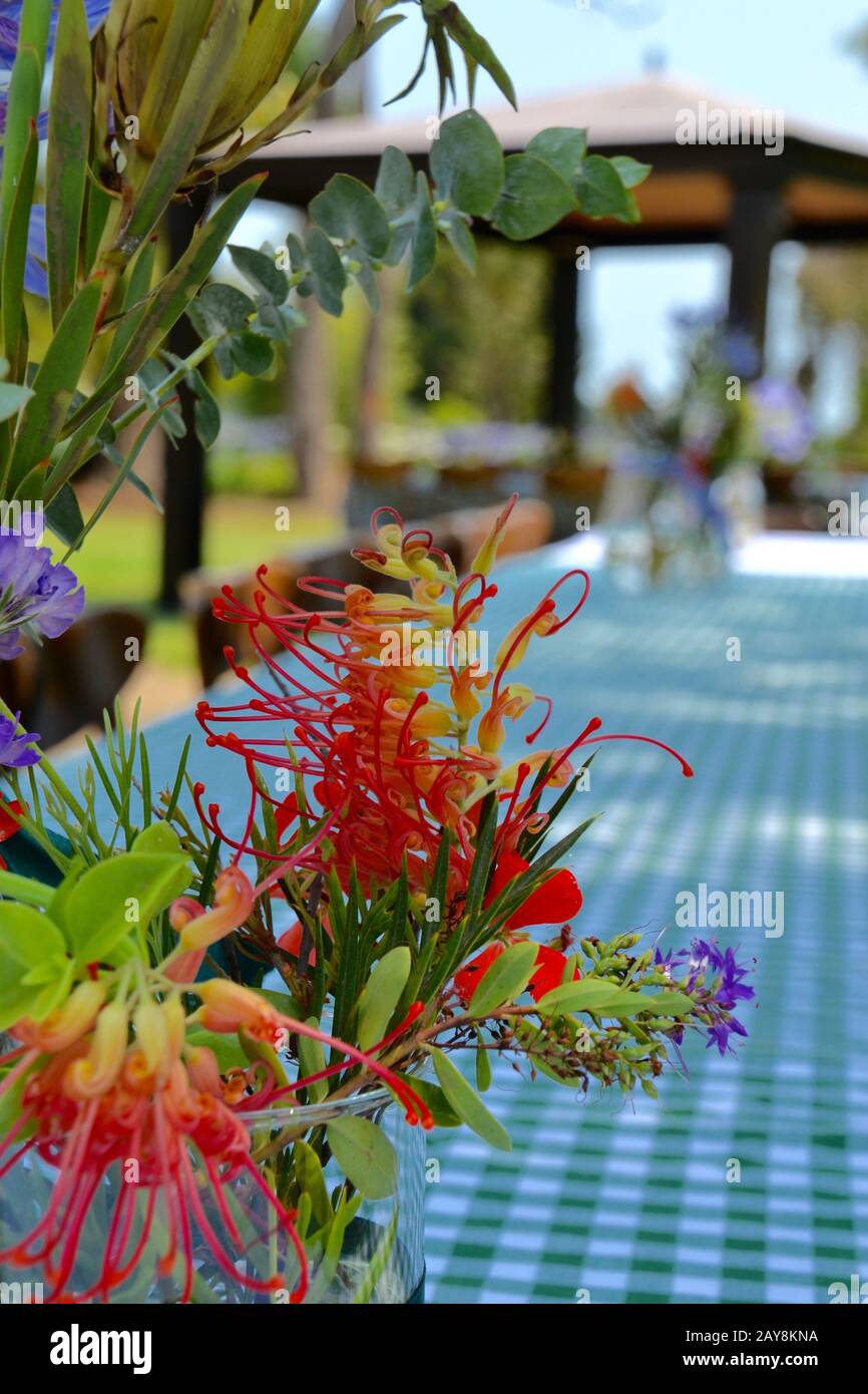 Australian native flower hires stock photography and images Alamy