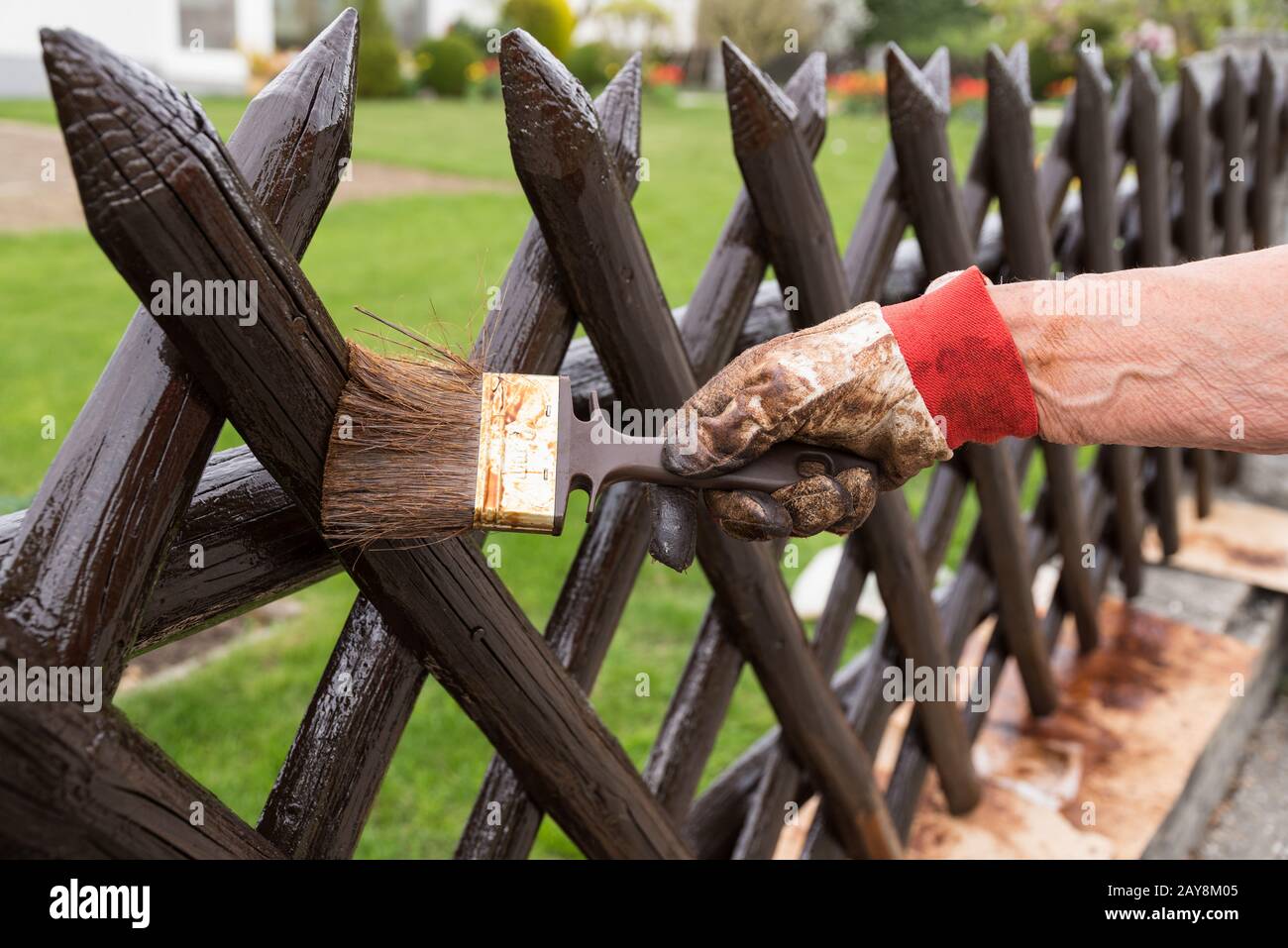 Person paints her wooden hunter fence - close-up Stock Photo