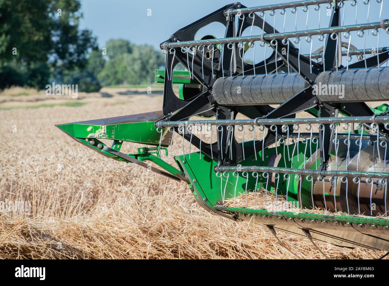 Crop harvest on a grain field at blue sky Stock Photo - Alamy