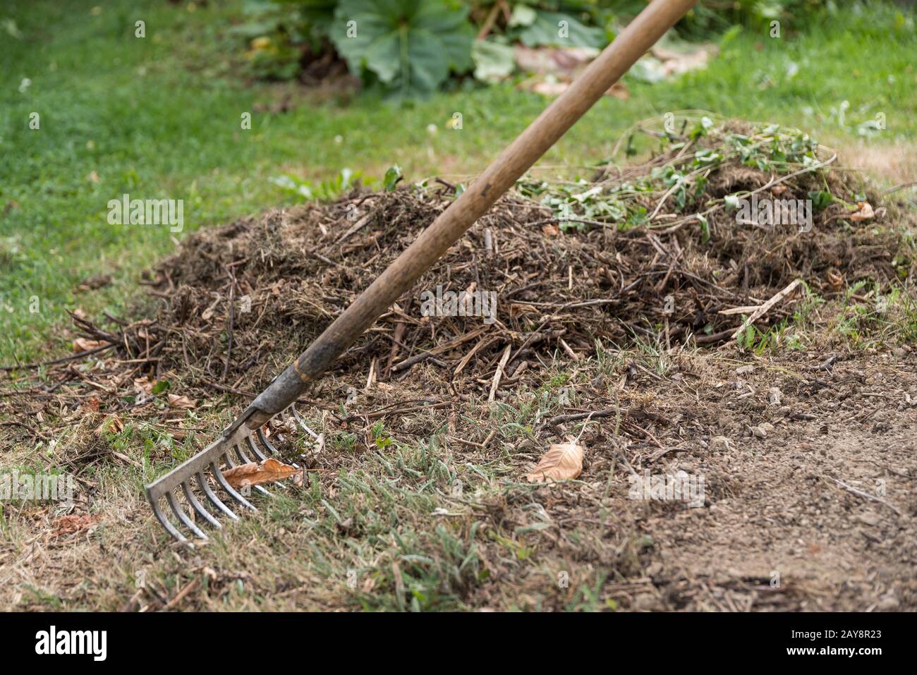 Safety in gardening - Laying iron rakes correctly Stock Photo - Alamy
