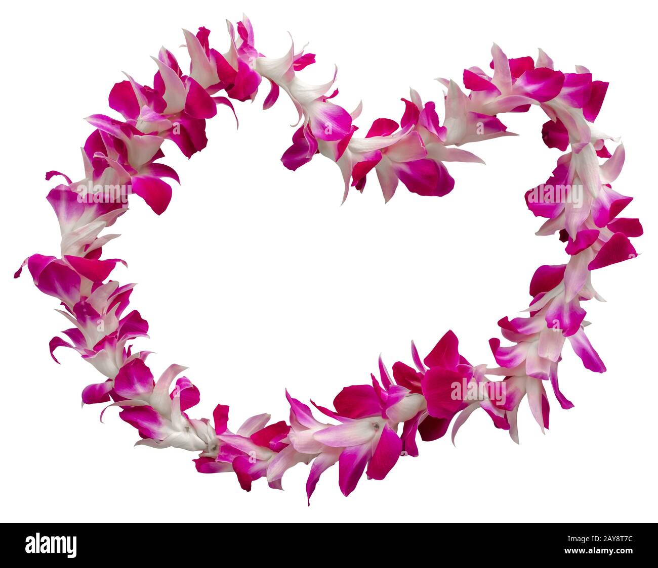 Isolated Hawaiian Welcome Lei Necklace On A White Background Stock Photo