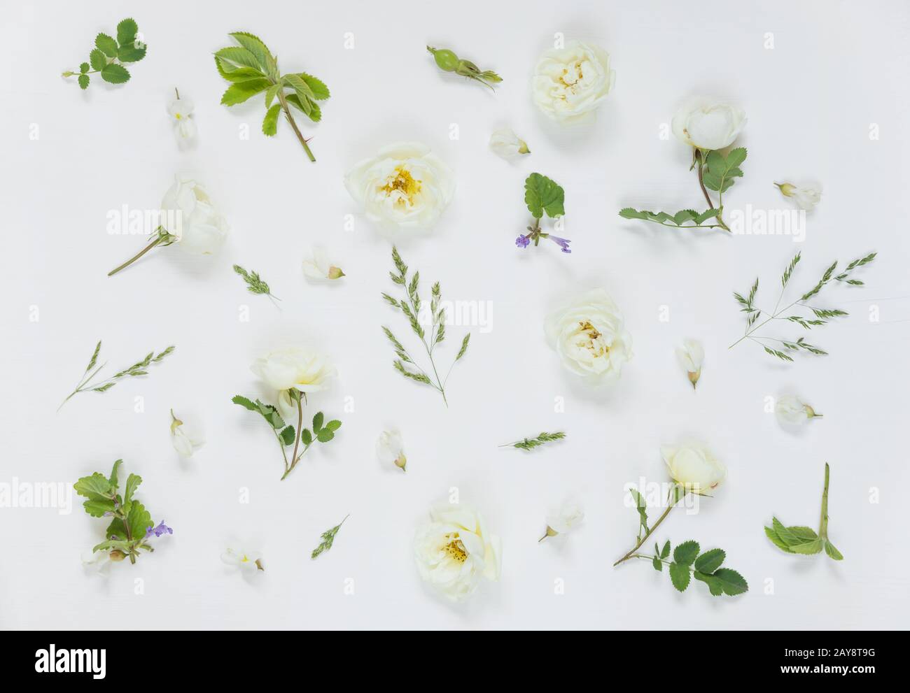 Natural background with white wild rose flowers Stock Photo - Alamy