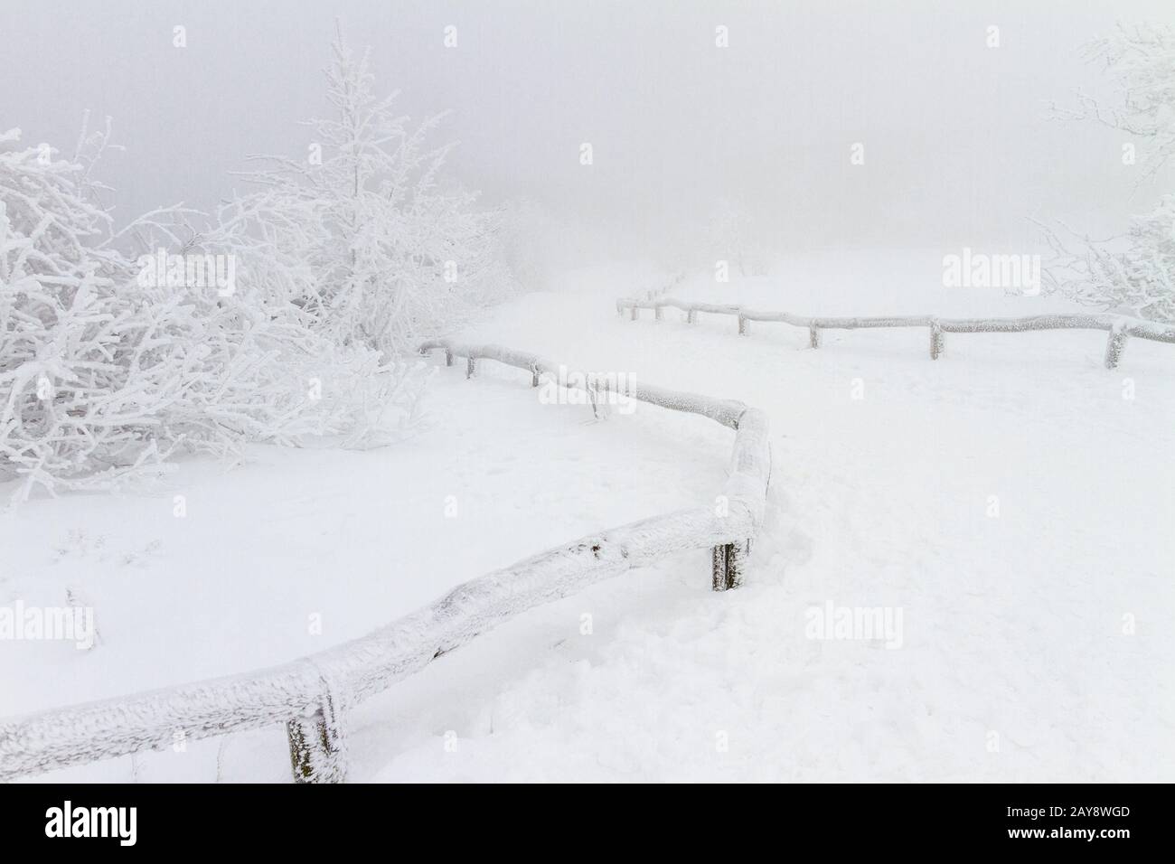 Scenery hoarfrost frost snow hi-res stock photography and images - Alamy
