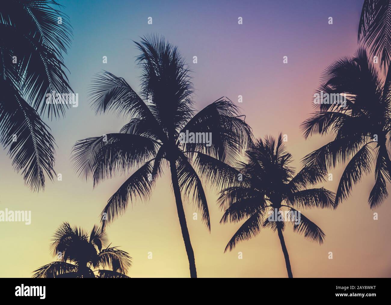 Retro Style Hawaii Sunset Palm Trees With Vibrant Colors Stock Photo