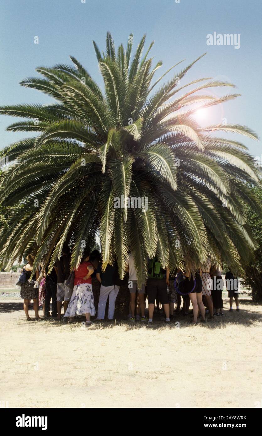Heat tropical hi-res stock photography and images - Alamy