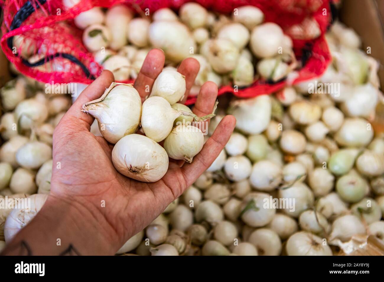 Plump form hi-res stock photography and images - Alamy