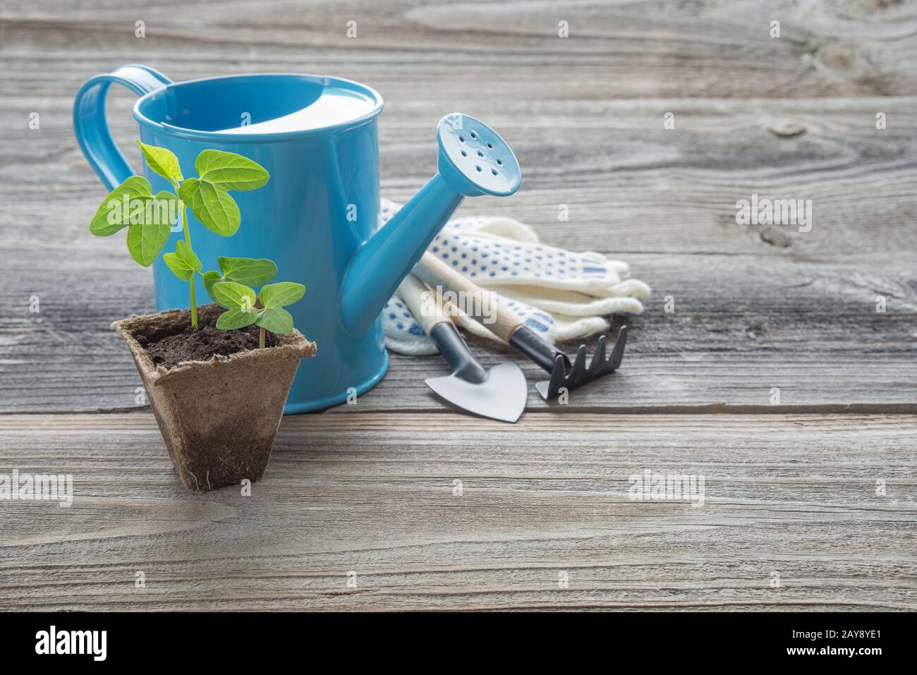Blue watering can in background hi res stock photography and images Alamy Blue watering can in background hi res stock photography and images Alamy