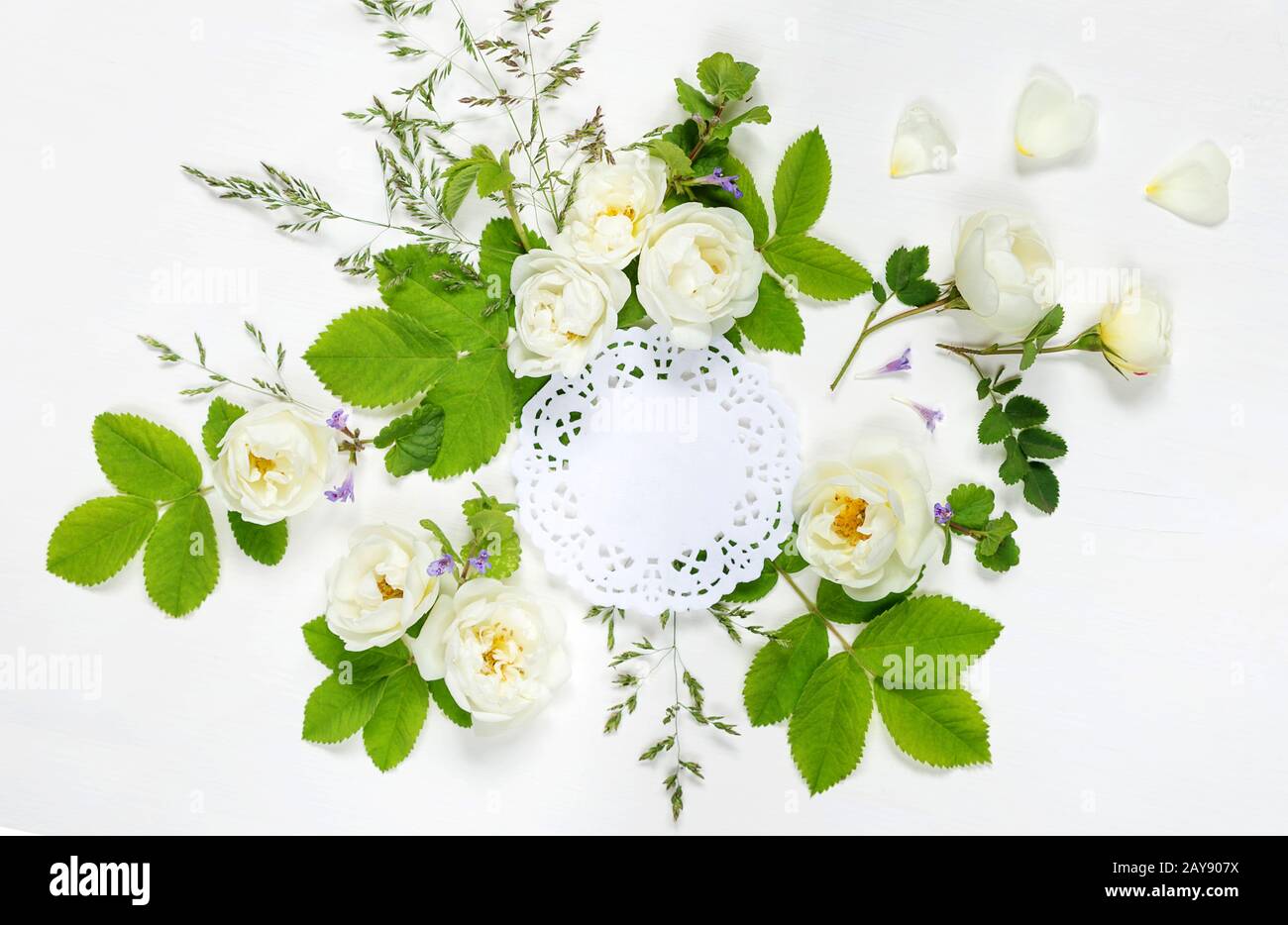 Composition with openwork doily and wild rose Stock Photo
