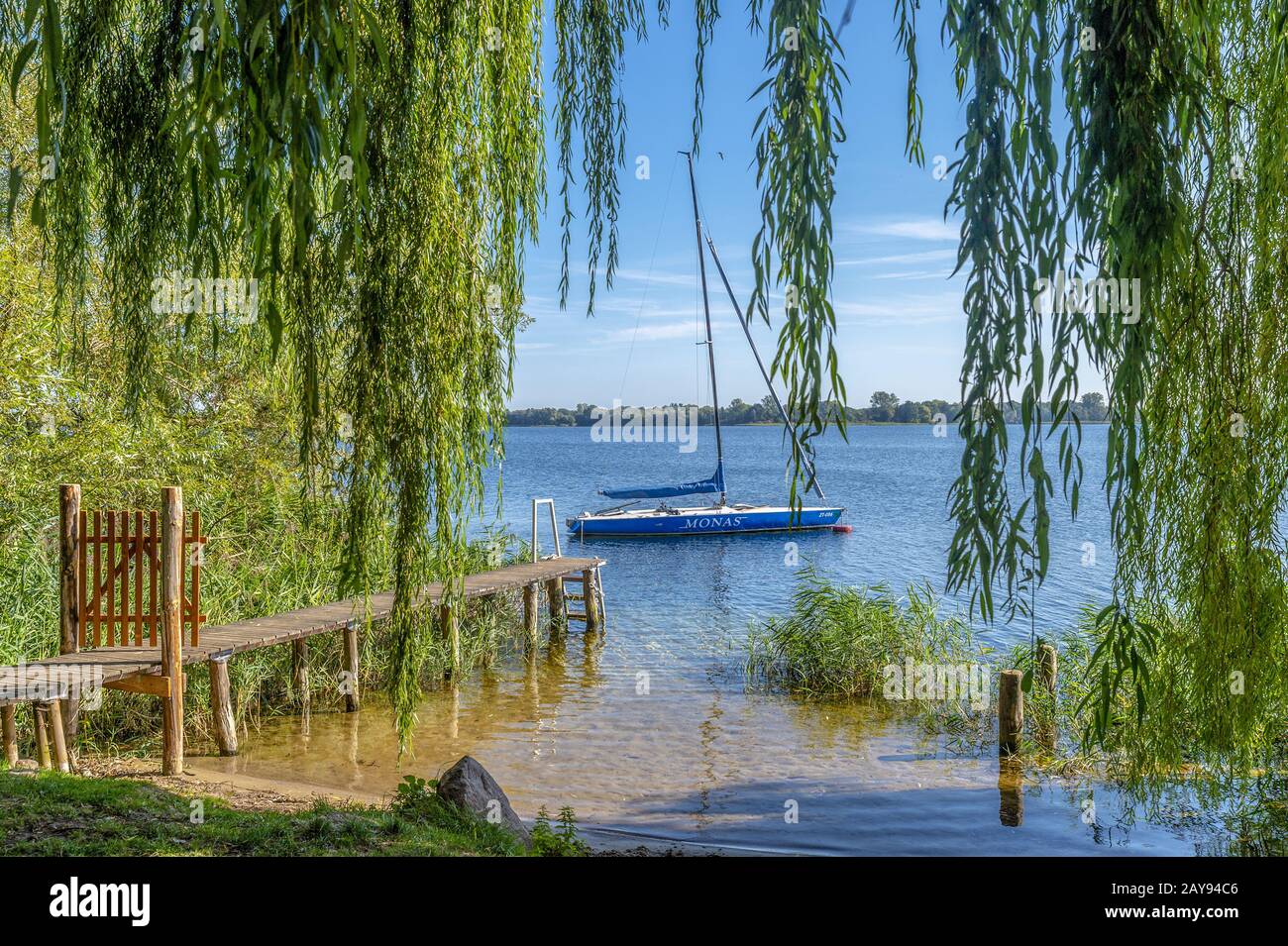 Sailing yacht under willows Stock Photo