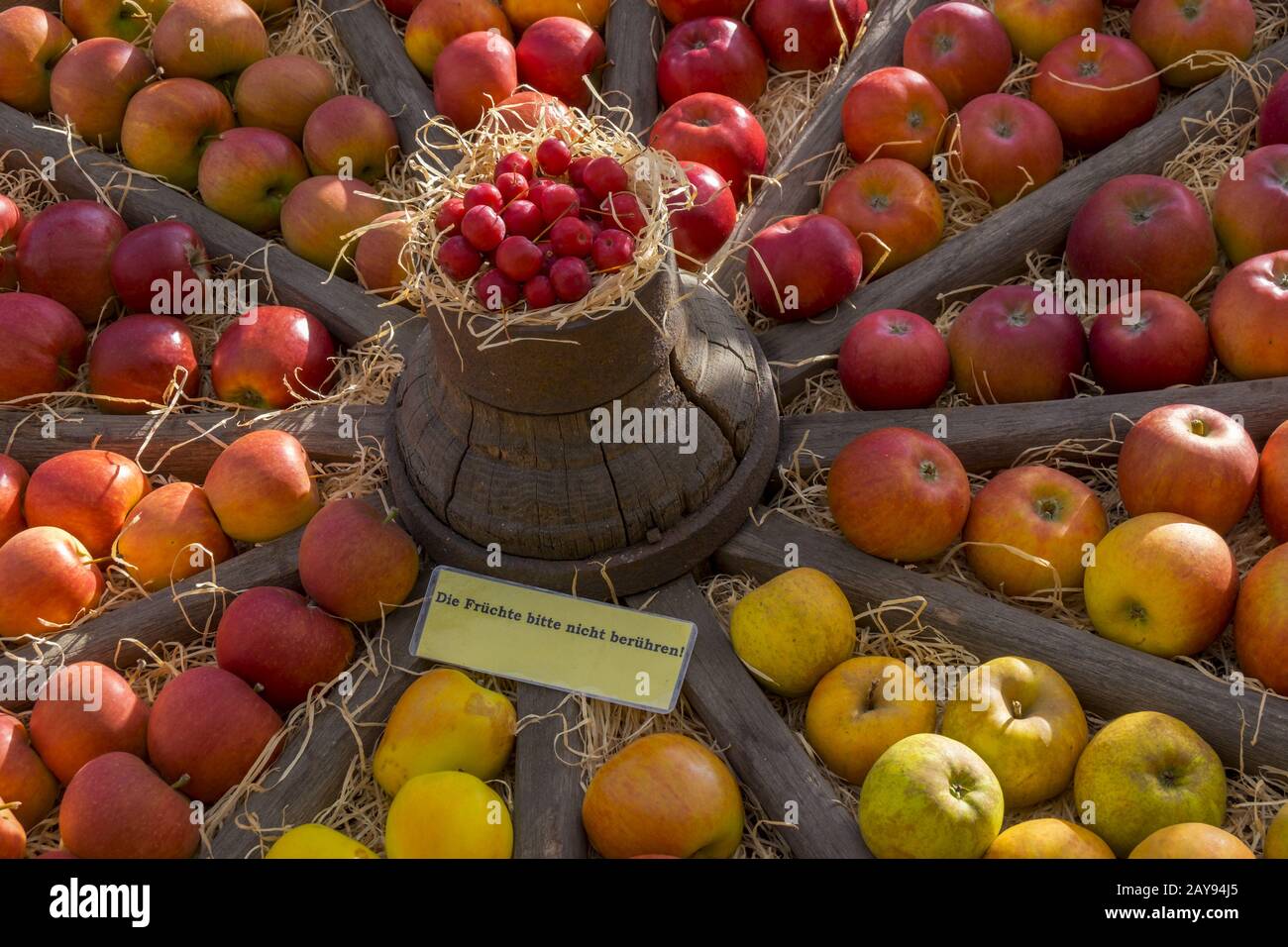 Presentation of different apple varieties Stock Photo