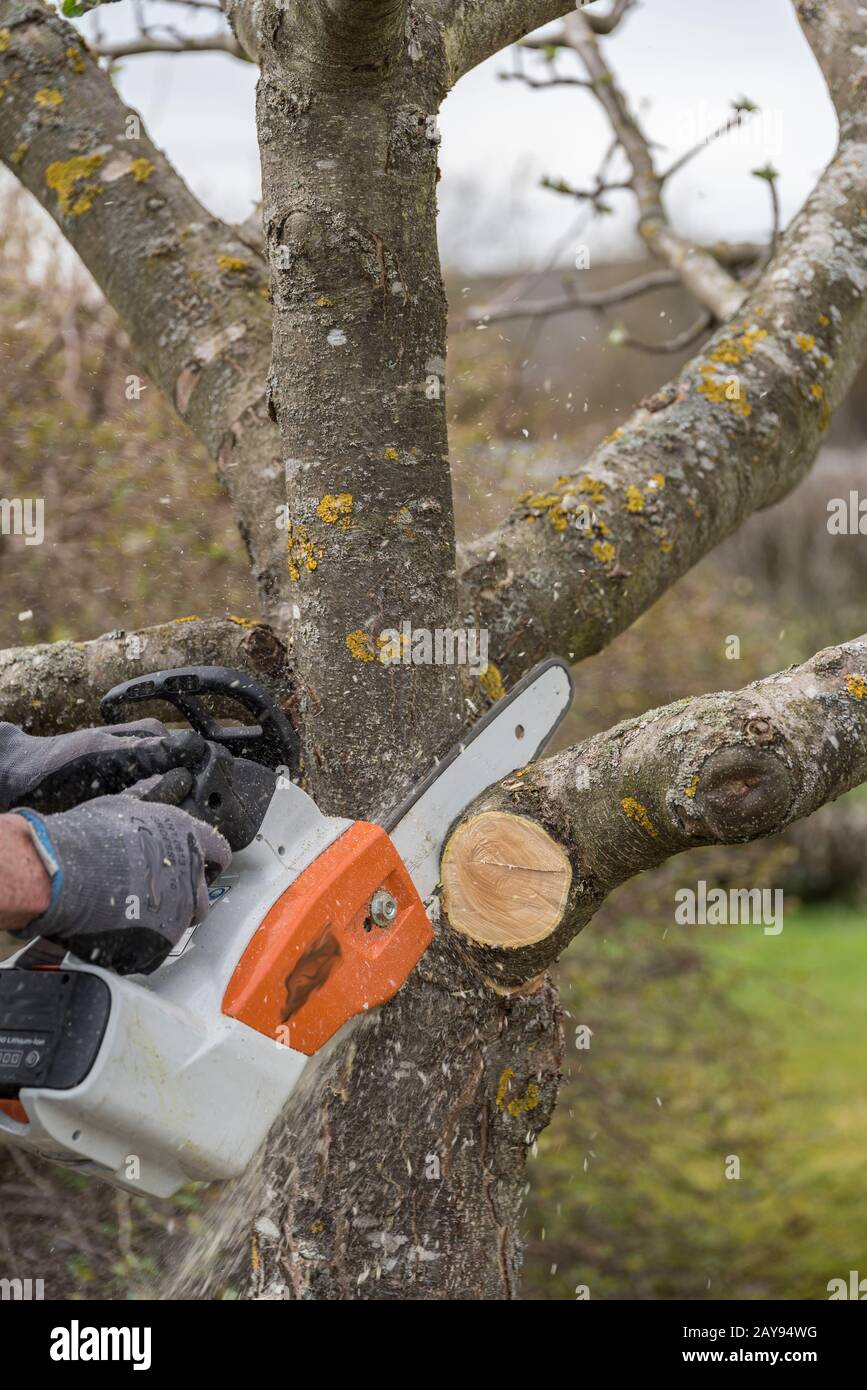 A battery chainsaw hi-res stock photography and images - Alamy