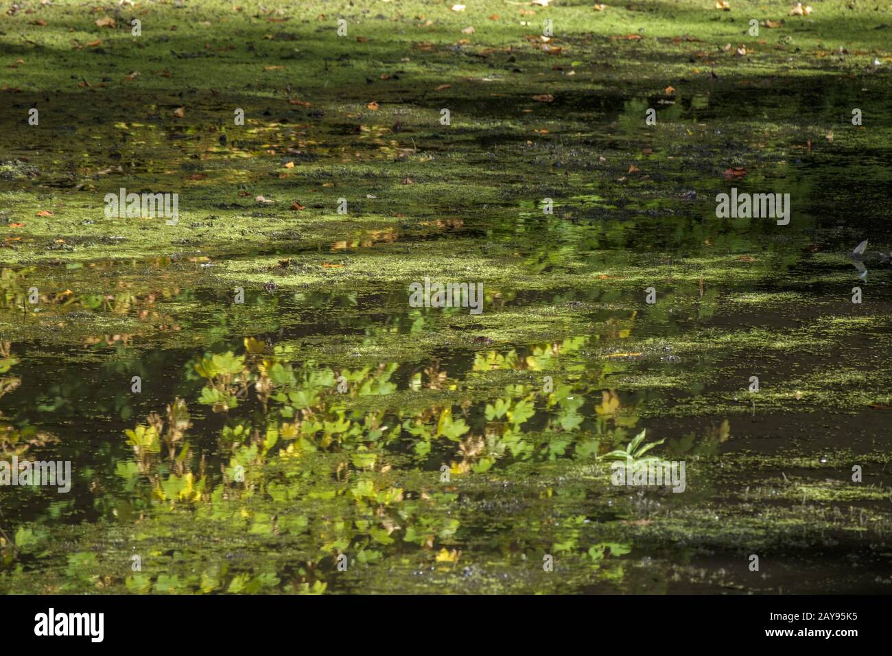 Water surface, background image Stock Photo