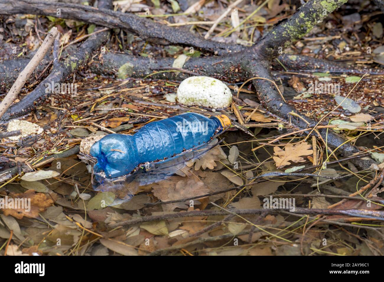 Discarded plastic beverage bottle floats on a watercourse with other garbage Stock Photo