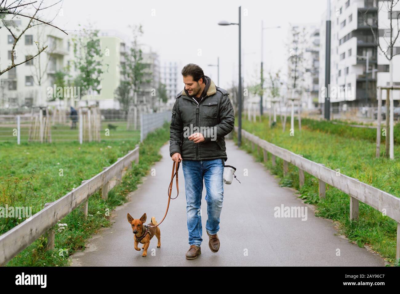 A man and his little dog are practicing walking to heel in the park Stock Photo