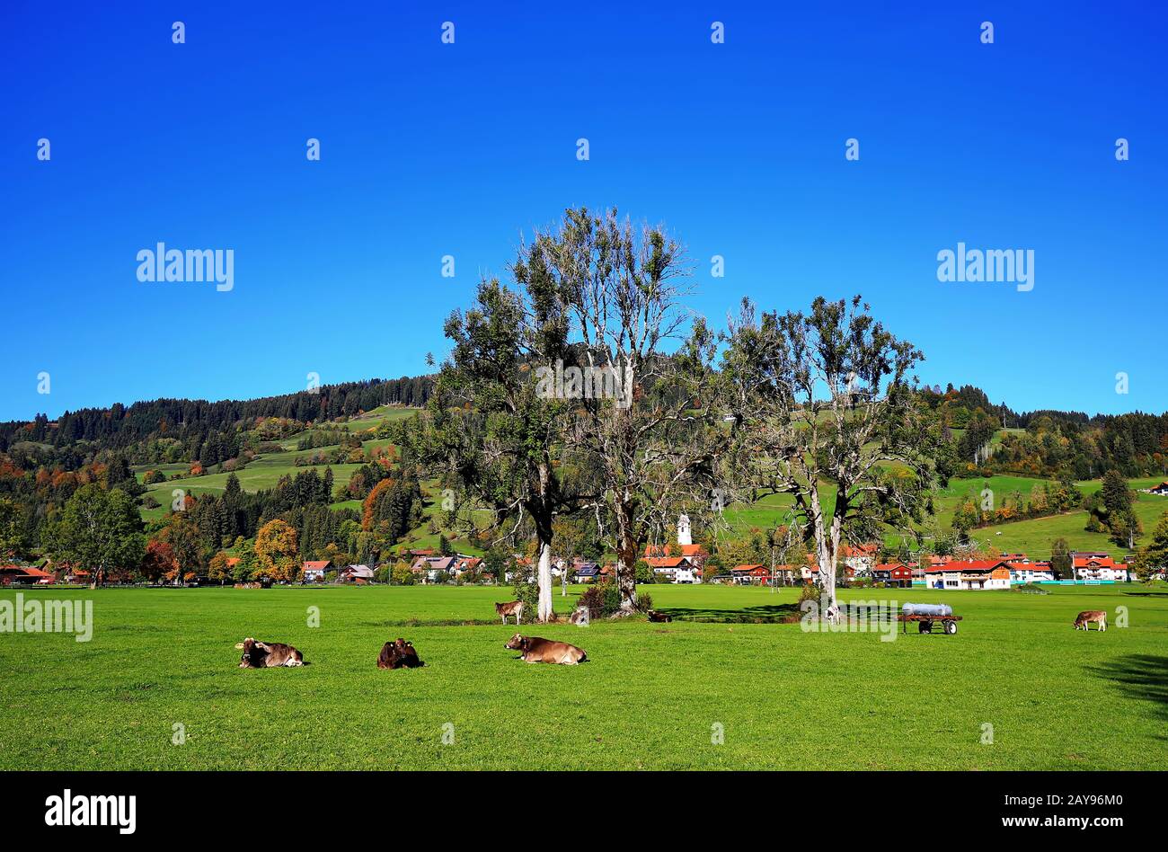 Niedersonthofen is a village in Bavaria, Germany in the middle of wonderful landscape Stock Photo