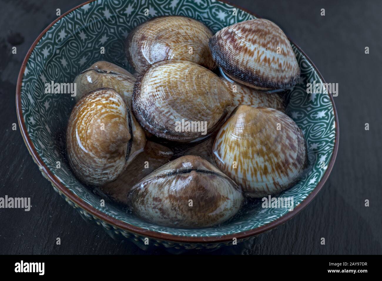 Dog cockles Stock Photo