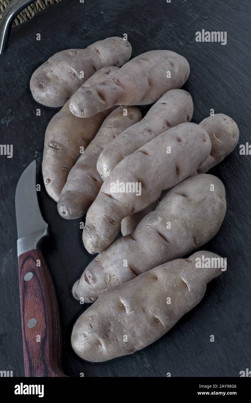 Franconian potato variety Bamberger Hörnchen Stock Photo