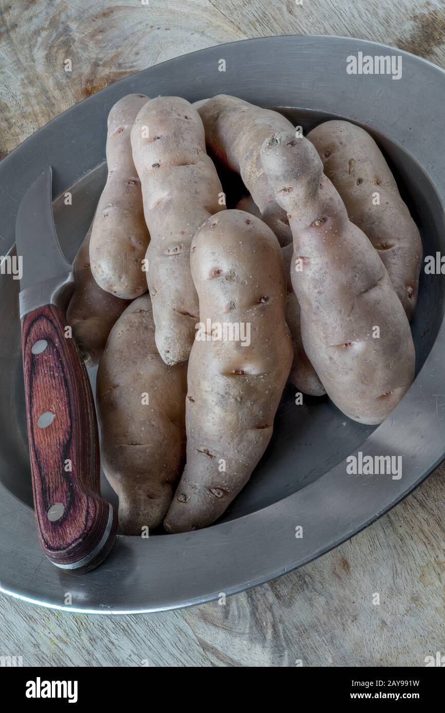 German potato variety Bamberger Hörnla Stock Photo