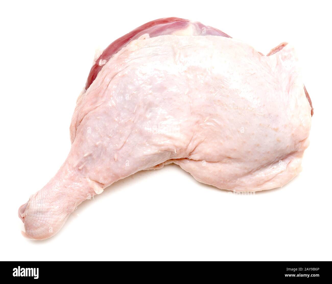 duck-leg-on-white-stock-photo-alamy