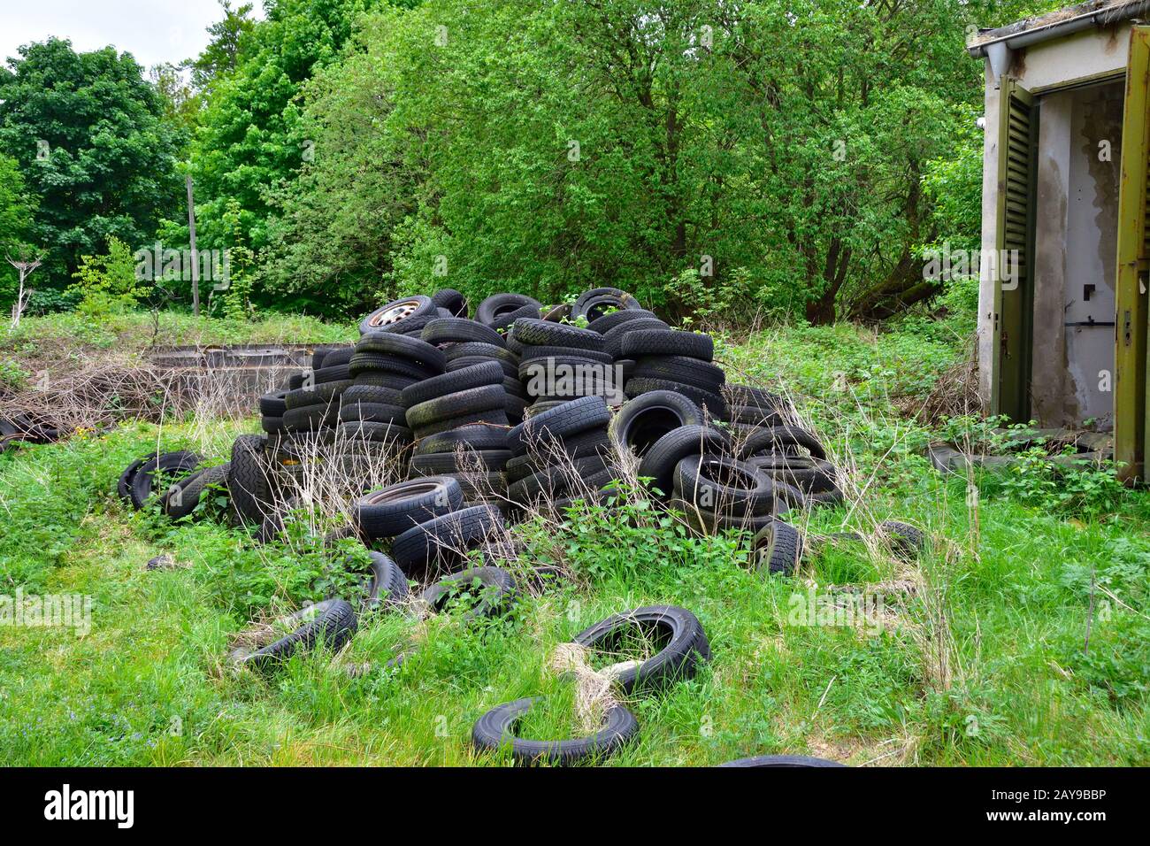 Wild garbage dump Stock Photo Alamy