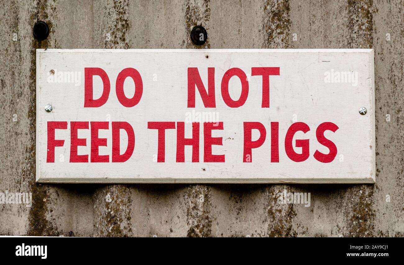 Do not feed the pigs sign Stock Photo Alamy