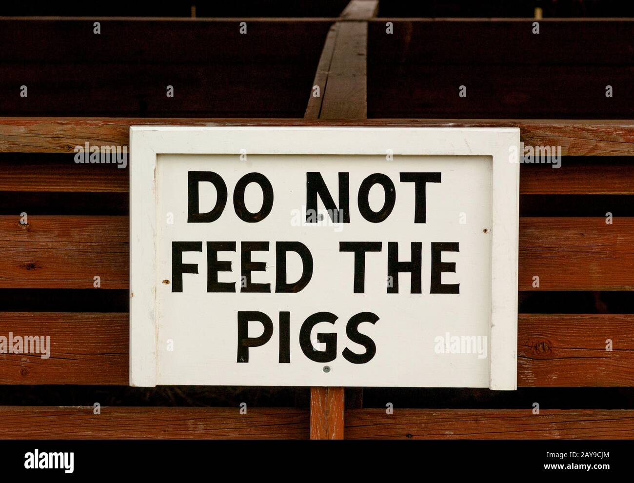 Do not feed the pigs sign Stock Photo Alamy