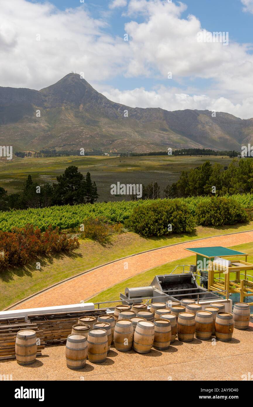Wooden barrels outside multilevel wine cellar at the Vergelegen
