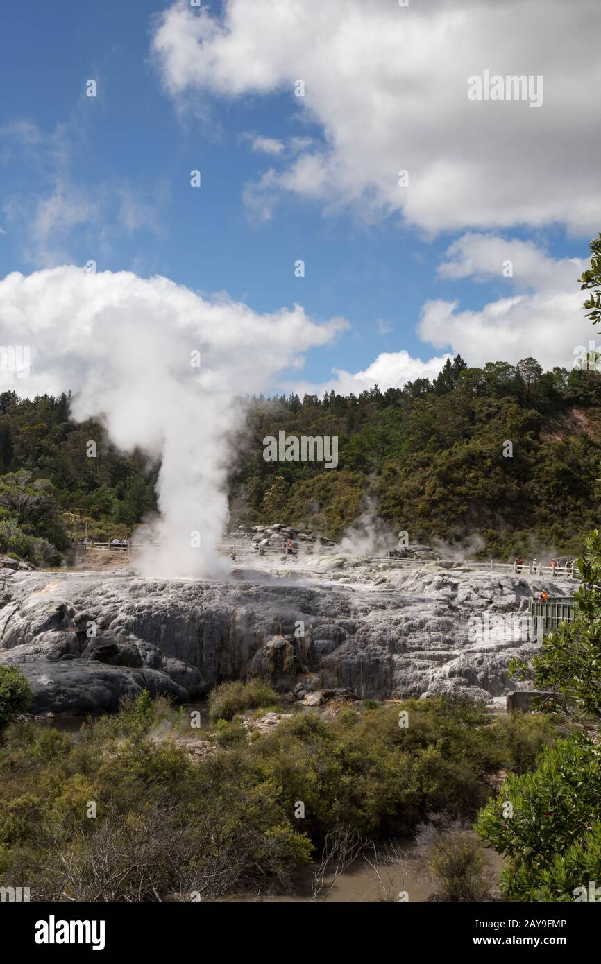 Visitors looking at erupting geyser at Te Puia geothermal park Stock Photo
