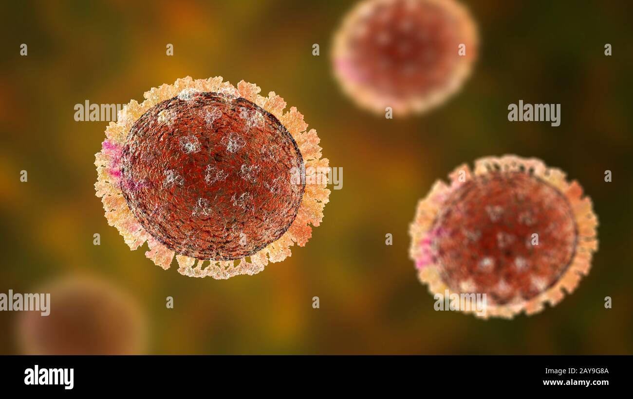 Flu viruses, illustration Stock Photo