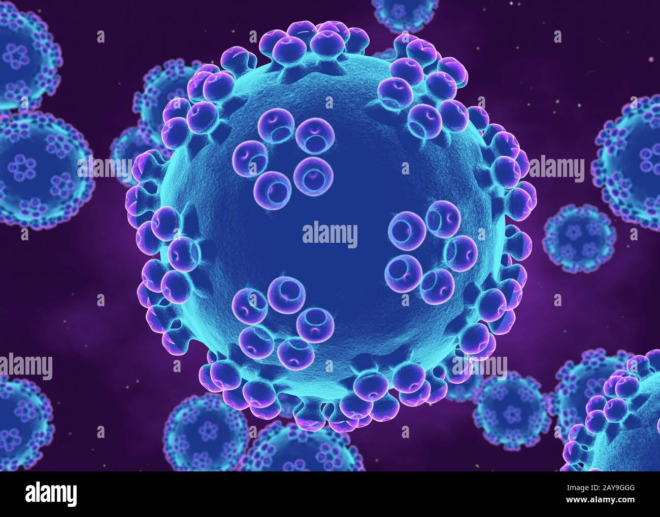 Human papillomaviruses, illustration Stock Photo