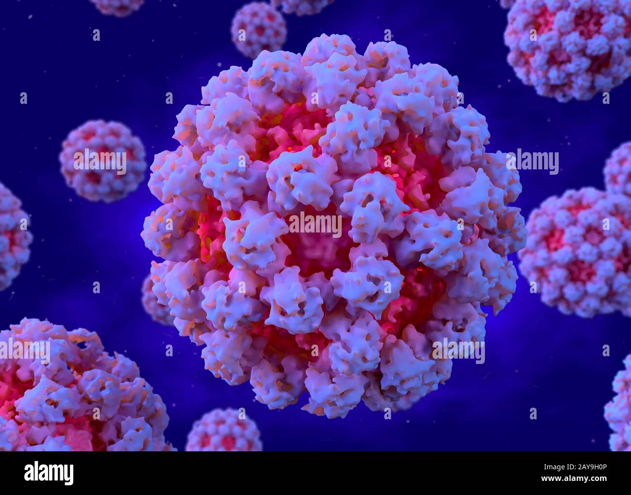 Noroviruses hires stock photography and images Alamy