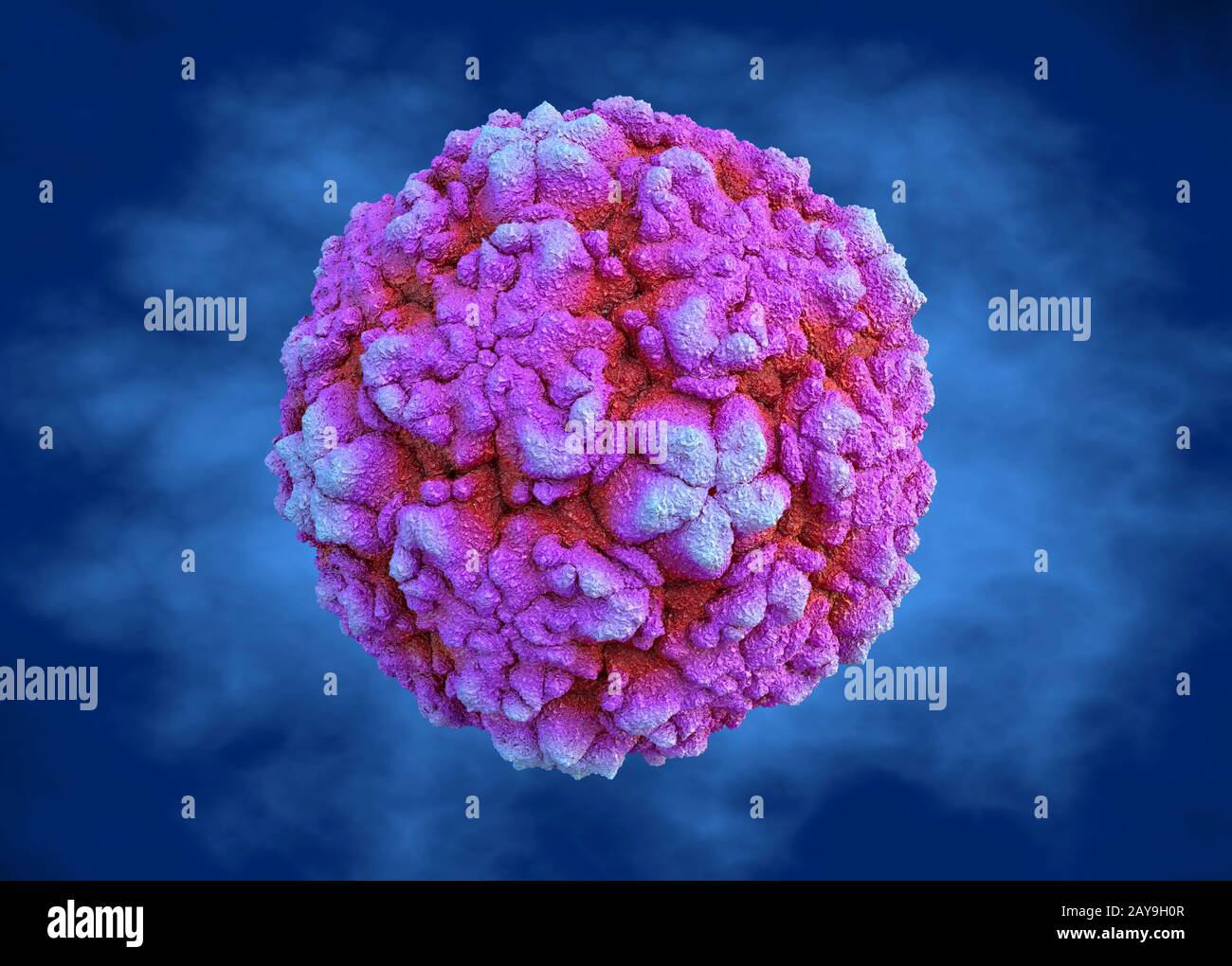 Rhinovirus, illustration Stock Photo