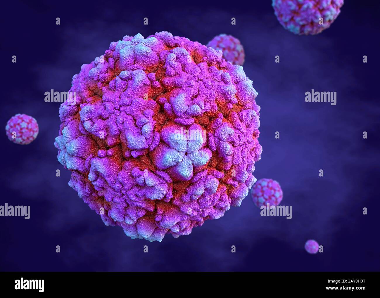 Rhinoviruses, illustration Stock Photo