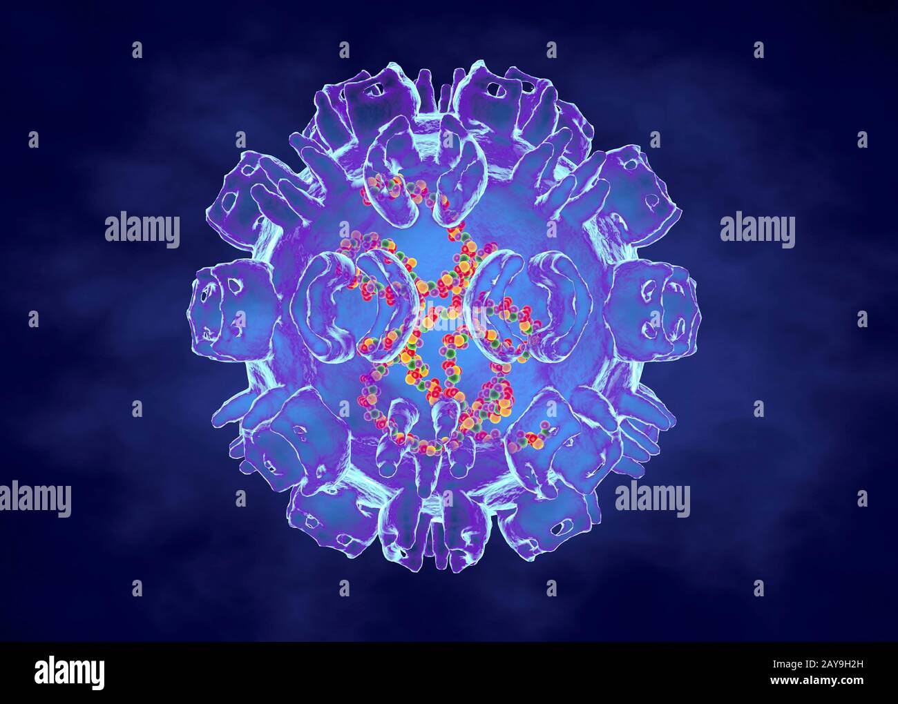 Ross river virus, illustration Stock Photo