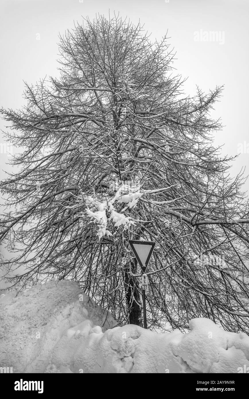 Winter in the Vogtland - Sunken in the snow Stock Photo