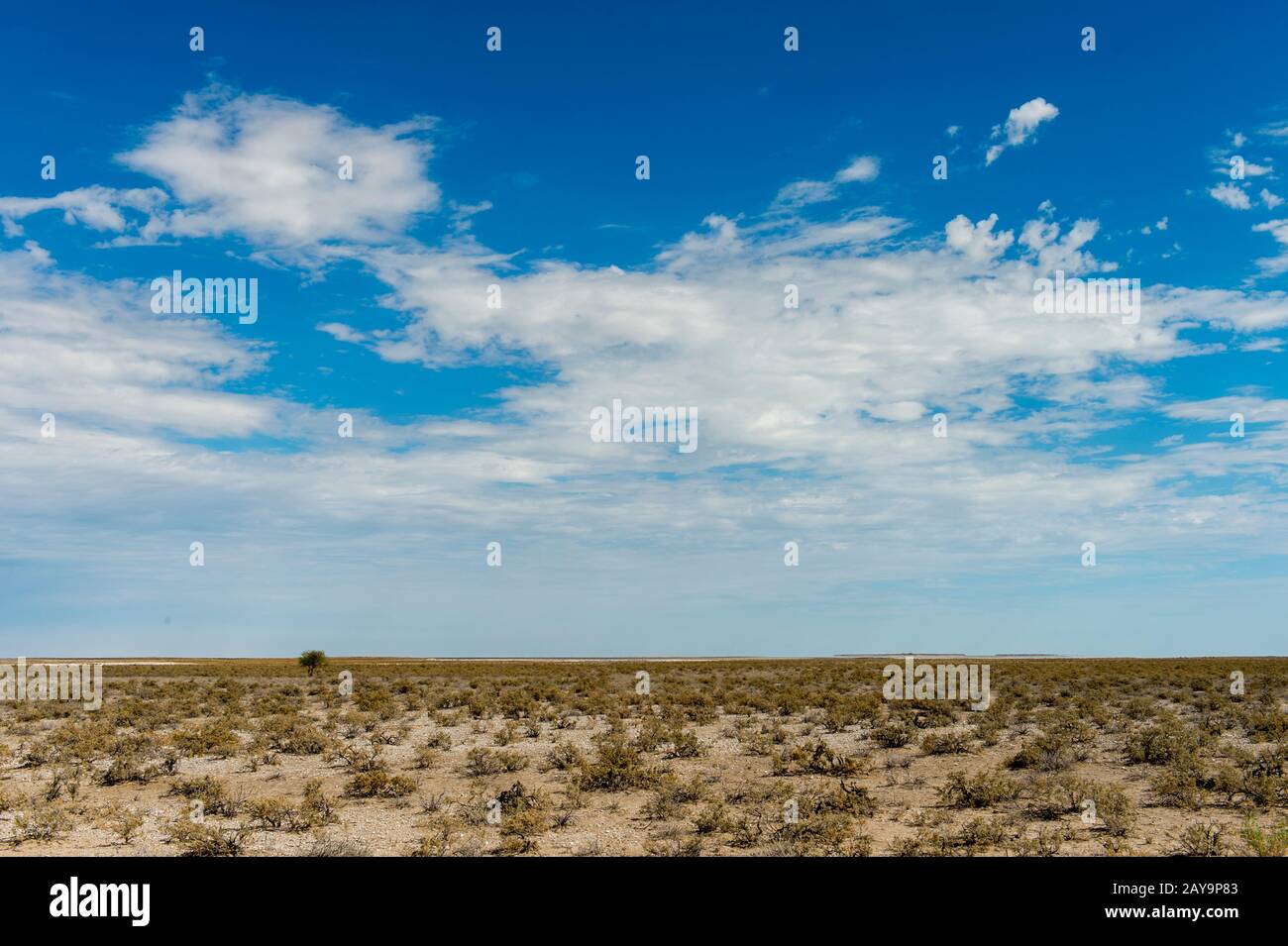 View of the barren landscape of Etosha National Park in northwestern Namibia. Stock Photo