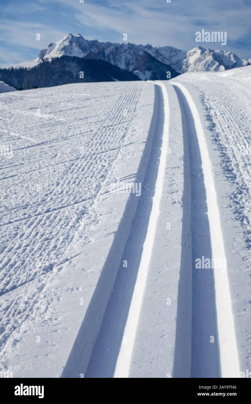 Cross-country ski tracks in winter Stock Photo