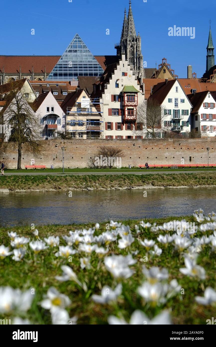 Ulm, Central Library and Minster Stock Photo Alamy