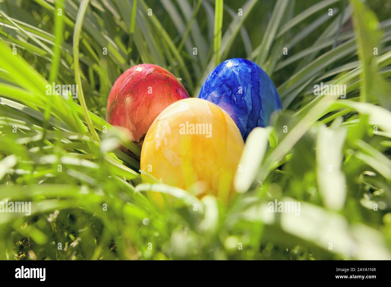 Colorful easter eggs in a nest made of green grass Stock Photo - Alamy