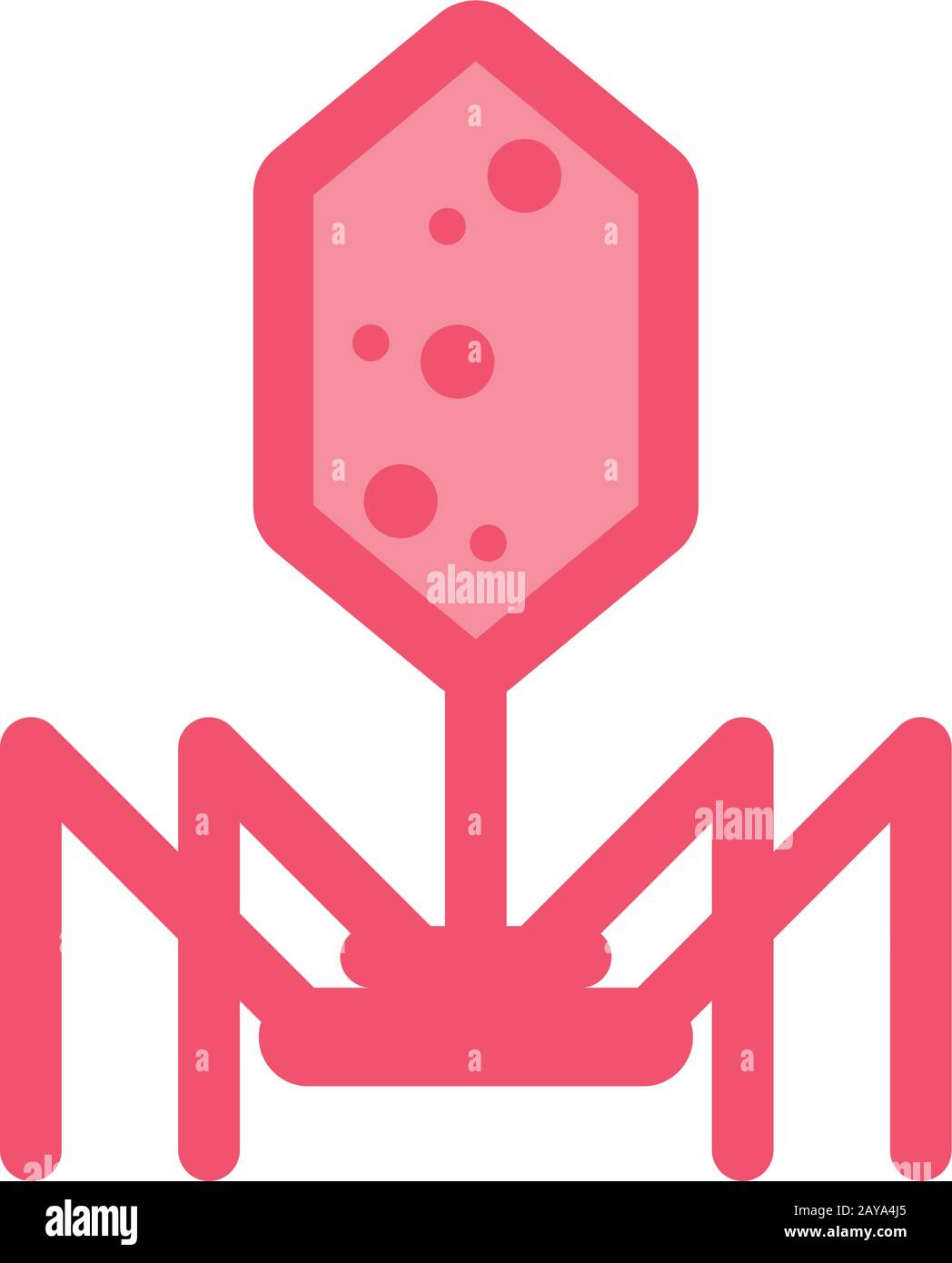 bacteriophage over white background, flat style icon, vector illustration Stock Vector