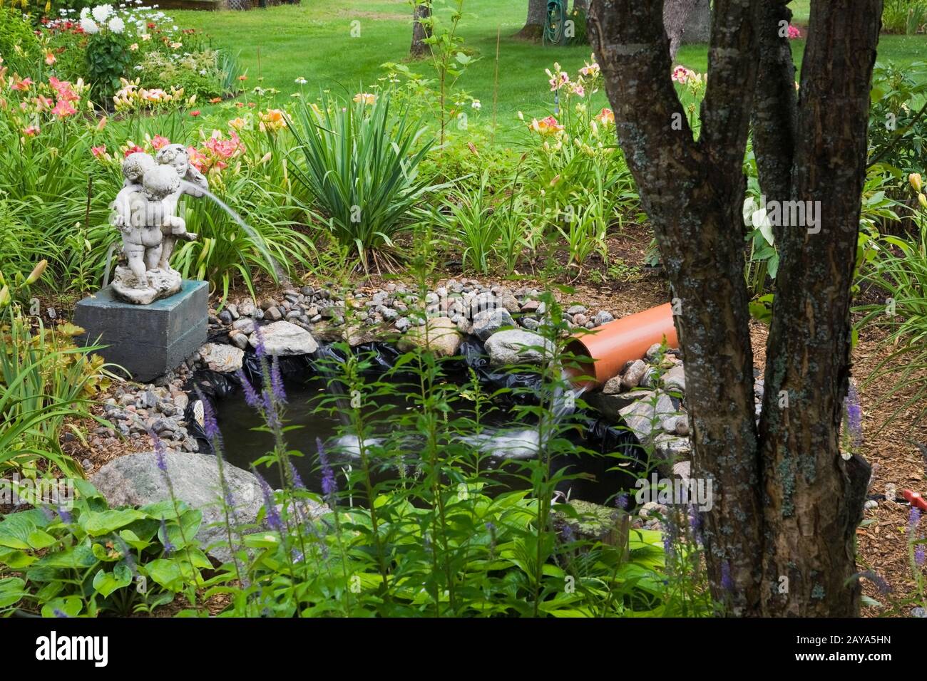 Malus bacata columnaris - Crabapple Tree next to small pond with water fountain statue and blue Veronica -Speedwell flowers including Hemerocallis. Stock Photo